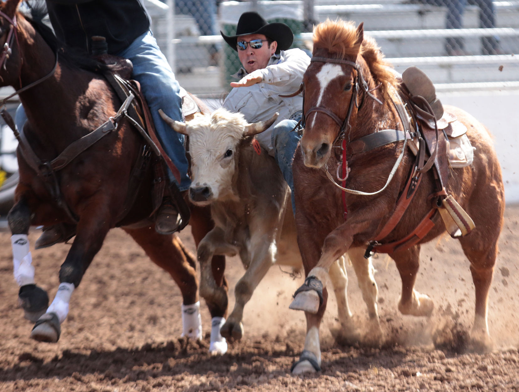 Tucson Rodeo